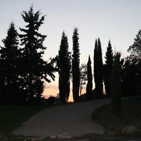 Cal Cisteller Villa Джиронея Екстериор снимка