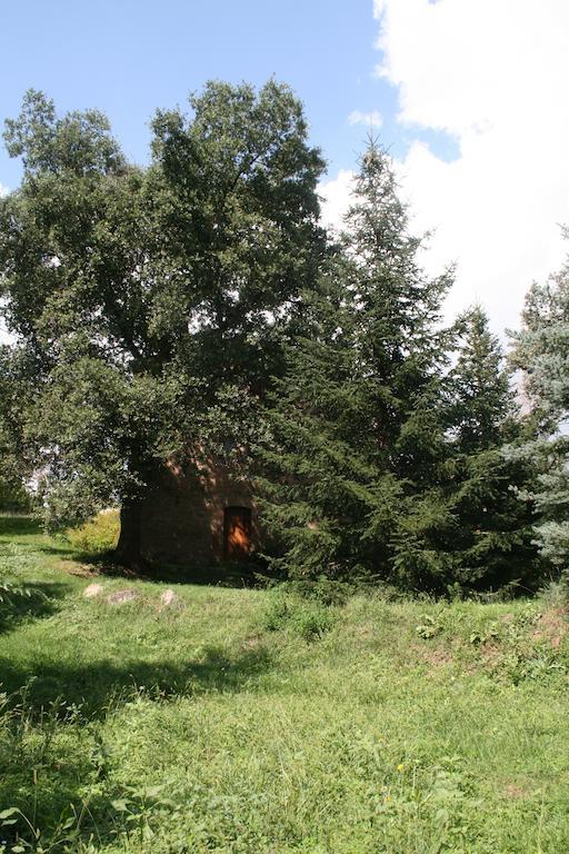 Cal Cisteller Villa Джиронея Стая снимка